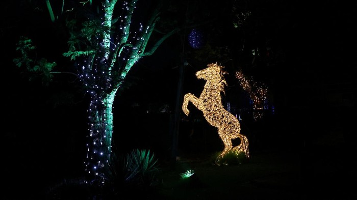 TOTW-CHRISTMAS/ An illuminated horse figure is displayed during the annual Joburg Festival of Lights featuring an enchanting collection of illuminated life-size animal figures, ahead of Christmas at the Johanneburg Zoo, in Johannesburg, South Africa, December 15, 2023.REUTERS/Siphiwe Sibeko