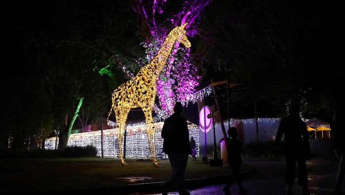 An illuminated horse figure is displayed during the annual Joburg Festival of Lights featuring an enchanting collection of illuminated life-size animal figures, ahead of Christmas at the Johanneburg Zoo, in Johannesburg, South Africa, December 15, 2023.REUTERS/Siphiwe Sibeko