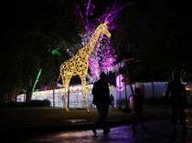 Kebun Binatang Johannerburg Bersolek Jelang Natal