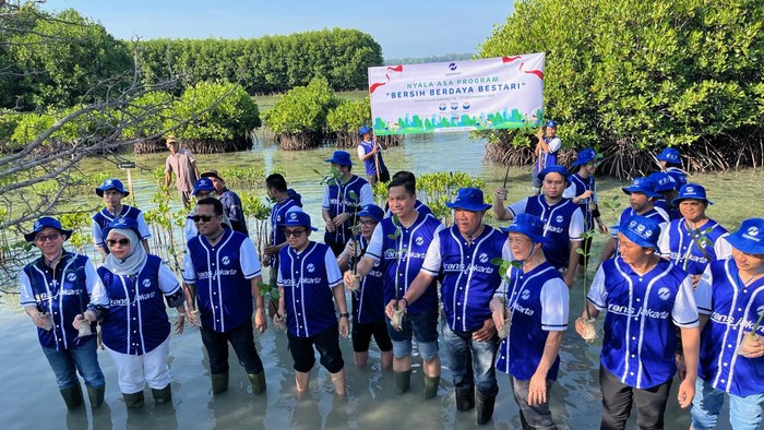 TransJ tanam 23 ribu manggrove di Pulau Harapan