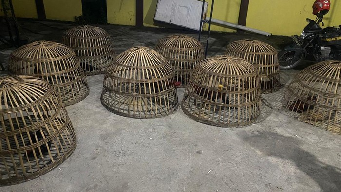 4 penjudi sabung ayam ditangkap polres lamongan
