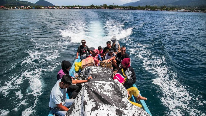 Beda! Begini Nih Alat Transportasi Warga Bajo Warga membawa barang jualannya menggunakan jasa perahu motor tujuan Bajo Sangkuang saat menyeberang dari Pelabuhan Habibi, Pulau Bacan, Kabupaten Halmahera Selatan, Maluku Utara, Minggu (17/12/2023). Warga suku Bajo masih mengandalkan perahu motor untuk mengangkut logistik dan barang kebutuhan untuk satu kali jalan dengan tarif Rp30 ribu per orang dan menempuh perjalan sekitar 35 menit menuju Bajo Sangkuang. ANTARA FOTO/Andri Saputra/aww.