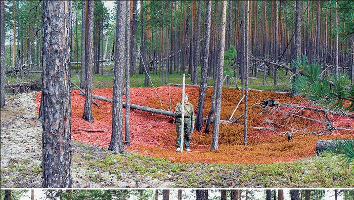 Cekungan jejak benteng prasejarah di Siberia. Di pinggirnya terdapat jejak tepian, pagar, dan saluran drainase.