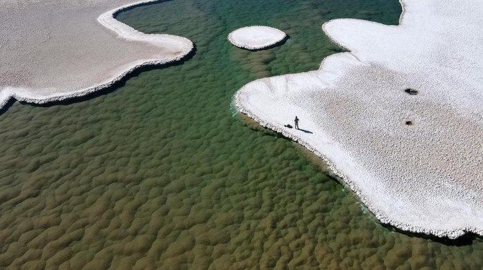 Gundukan hijau stromatolit di bawah laguna hilang di gurun Puna de Atacama.