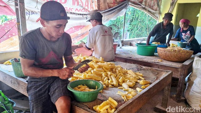 Sejumlah pekerja sedang membuat tape mulai dari bahan dasar hingga jadi di Bondowoso, Jawa Timur, Senin (18/12/2023).