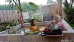 Nikmati Sensasi Nasgor Unik Sambil Berendam Air Panas di Mojokerto