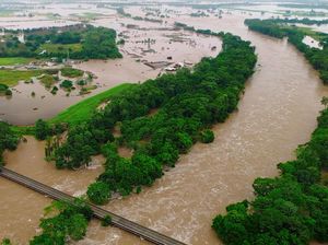 Operator Wisata di Queensland Amsyong Gegara Badai, Wisatawan Ogah Datang