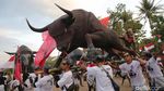 Ragam Aksi Pendukung Ganjar di Magelang, Emak-Emak hingga Replika Banteng