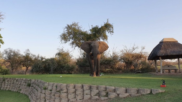 Skukuza Golf Club di Taman Nasional Kruger Skukuza Golf Club di Taman Nasional Kruger