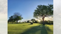 Karena nggak ada pagar, berarti akan banyak sekali predator. Singa-singa berjemur dengan santai di sekitar tee box di bawah sinar matahari sore saat hyena berkeliaran di dekatnya untuk merebut sisa-sisa buruan mereka.