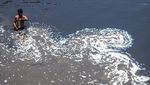 Sungai Bengawan Solo Kian Tercemar