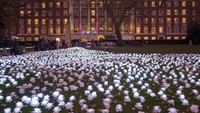 Orang-orang mengambil foto mawar putih yang menyala dalam instalasi yang dijuluki Ever After Garden di Grosvenor Square London, Jumat, 15 Desember 2023.