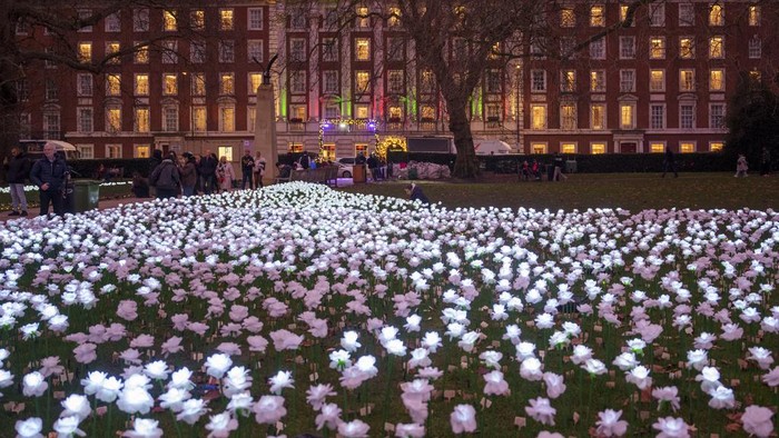 Terpukau Mawar Putih Bermekaran di London People take photos of illuminated white roses in an installation dubbed the Ever After Garden in London's Grosvenor Square, Friday, Dec. 15, 2023. Visitors can donate to dedicate a rose to the memory of a departed loved one and support the Royal Marsden Cancer Charity. (AP Photo/Vadim Ghirda)