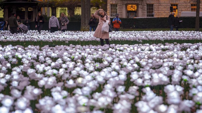 People take photos of illuminated white roses in an installation dubbed the Ever After Garden in London's Grosvenor Square, Friday, Dec. 15, 2023. Visitors can donate to dedicate a rose to the memory of a departed loved one and support the Royal Marsden Cancer Charity. (AP Photo/Vadim Ghirda)