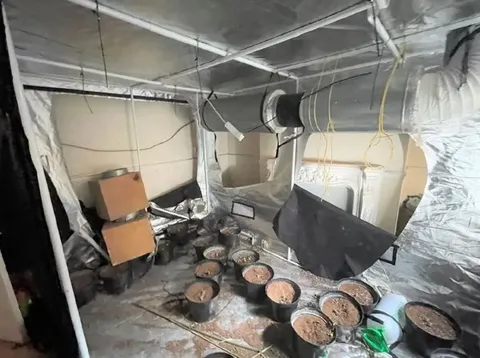 Credit: Kennedy News (McHugh & Co/Rightmove)