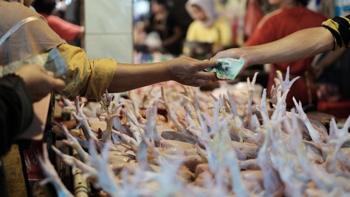 Daging ayam