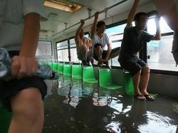 Deretan Foto Aneh yang Diposting di Medsos, Bikin Geleng-geleng