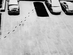 Deretan Foto Aneh yang Diposting di Medsos, Bikin Geleng-geleng