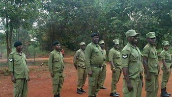 Ayam ikut upacara. Foto: Boredpanda