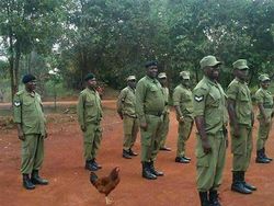 Deretan Foto Aneh yang Diposting di Medsos, Bikin Geleng-geleng