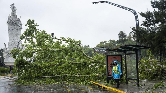 Pohon-pohon Bertumbangan Diterjang Badai di Argentina Badai dahsyat disertai hujan lebat dan angin kencang telah menerjang Argentina, Senin (18/12/2023). Pohon-pohon pun bertumbangan akibat badai tersebut.