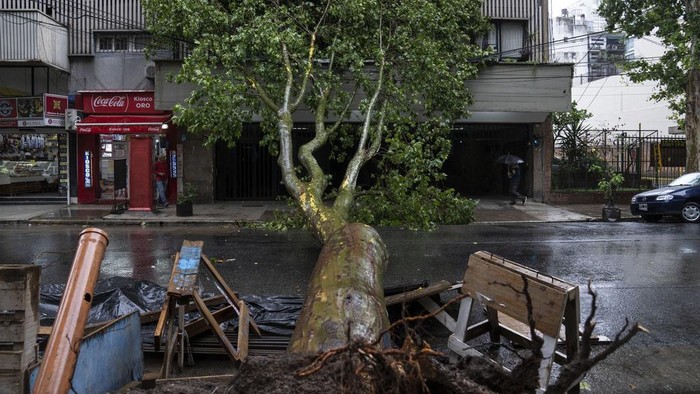 Pohon-pohon Bertumbangan Diterjang Badai di Argentina Badai dahsyat disertai hujan lebat dan angin kencang telah menerjang Argentina, Senin (18/12/2023). Pohon-pohon pun bertumbangan akibat badai tersebut.