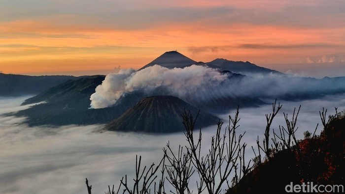 Taman Nasional Bromo Tengger Semeru (TNBTS) pada Kamis (7/12/2023).