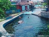 Umbul Cantik di Klaten Ini Dulu Cuma Buat Tempat Cuci Mobil dan Truk