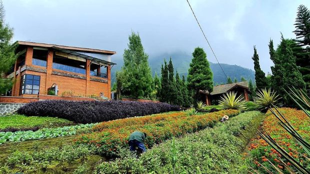 Bromo Terrace Hotel