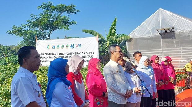 Heru Budi Pimpin Panen Raya 2,1 Ton Cabai di Cibubur Jaktim