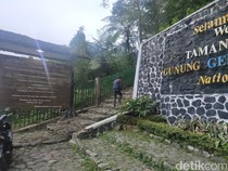Pendaki Bapak-bapak Tewas di Gunung Gede Pangrango