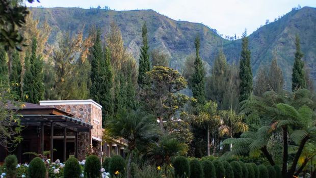 Jiwa Jawa Bromo Resort