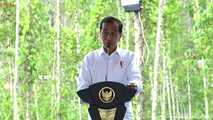 Jokowi di IKN (tangkapan layar)