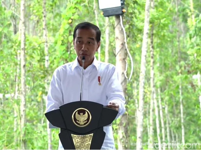 Jokowi di IKN (tangkapan layar)