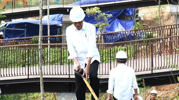 Jokowi menanam pohon bareng pekerja konstruksi di area Sumbu Kebangsaan di IKN (Foto: Kris - Biro Pers Sekretariat Presiden)