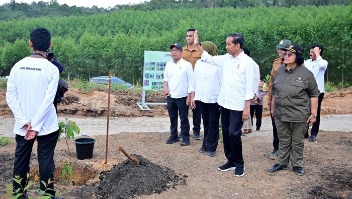 Jokowi saat meninjau proyek di IKN.