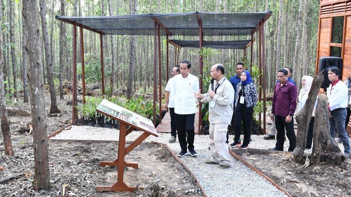 Jokowi tinjau miniatur deforestrasi hutan tropis di IKN