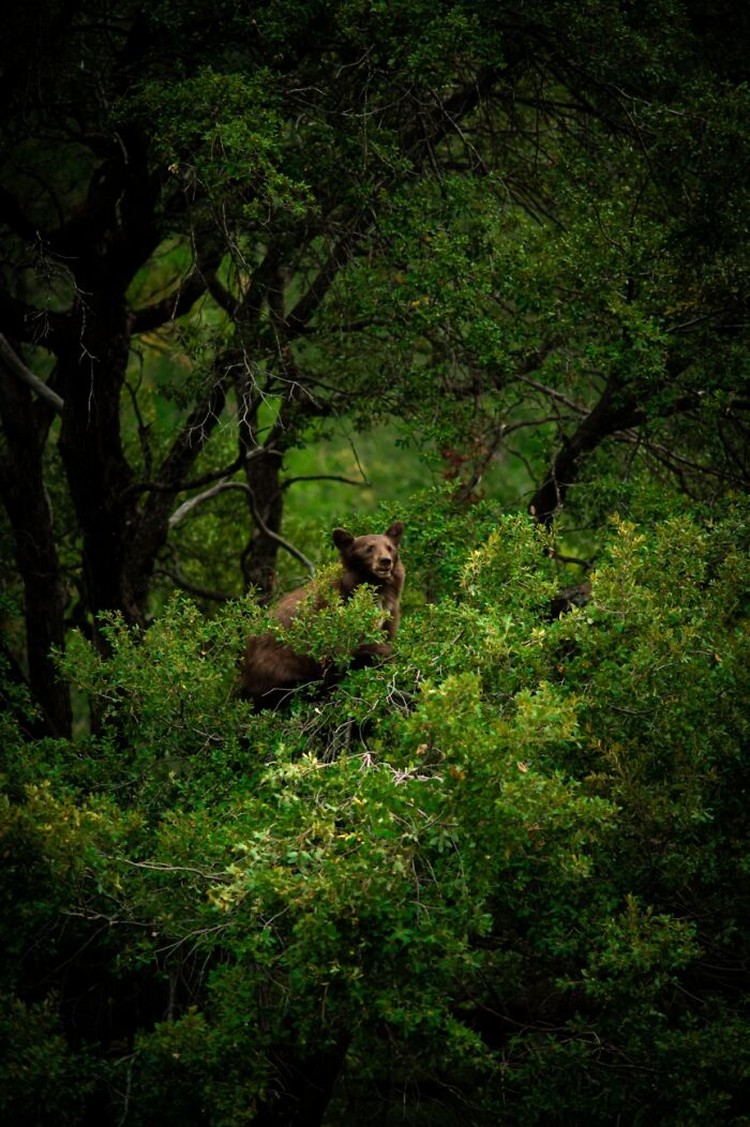 Karya Siena International Photo Awards 2023