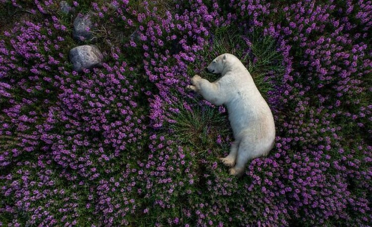 Karya Siena International Photo Awards 2023 Karya Siena International Photo Awards 2023