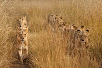 Karya Siena International Photo Awards 2023