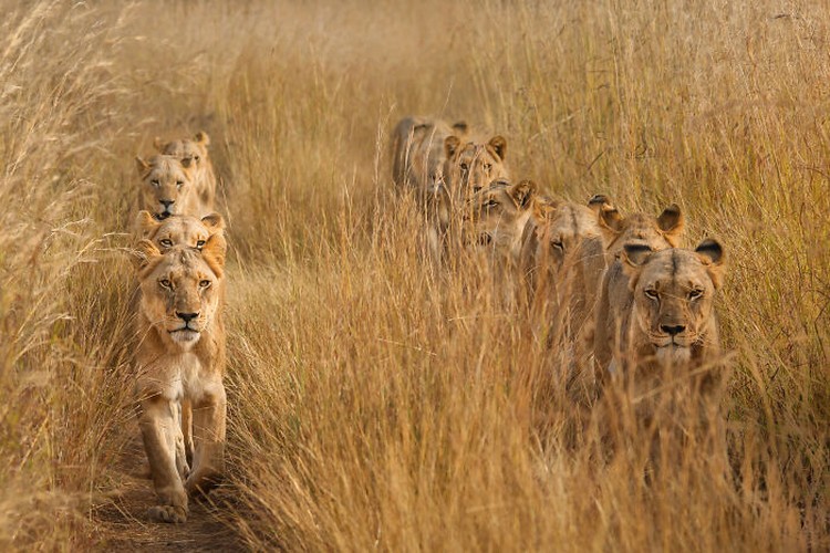 Karya Siena International Photo Awards 2023 Karya Siena International Photo Awards 2023