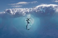 Karya Siena International Photo Awards 2023