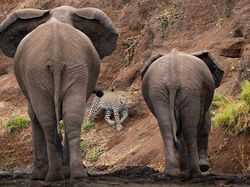 Karya Luar Biasa Kontes Foto Siena International Bikin Terkesima