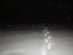 15 Fakta Sejarah Mengerikan, Bisa Bikin Susah Tidur