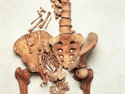 15 Fakta Sejarah Mengerikan, Bisa Bikin Susah Tidur