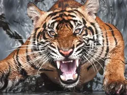 15 Fakta Sejarah Mengerikan, Bisa Bikin Susah Tidur