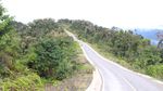 Mengintip Jalan Trans Papua Meliuk Membelah Petik Bintang