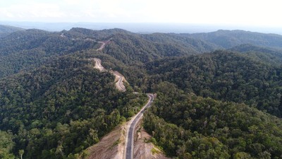 Mengintip Jalan Trans Papua Meliuk Membelah Petik Bintang