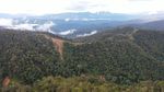 Mengintip Jalan Trans Papua Meliuk Membelah Petik Bintang