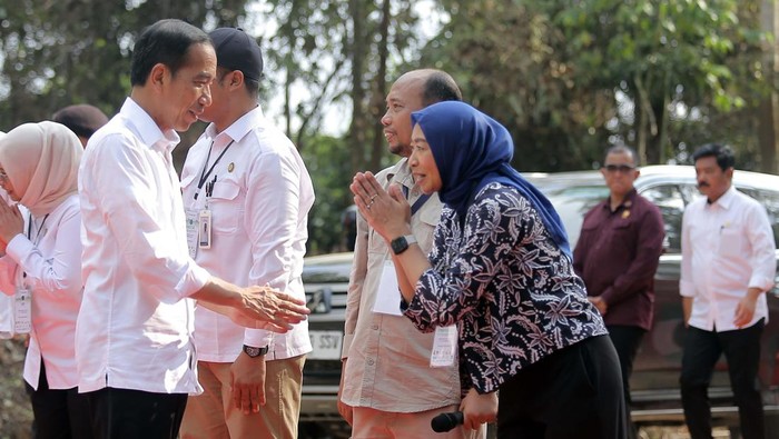 Momen Jokowi Tinjau Miniatur Hutan Hujan Tropis di IKN Nusantara Momen Jokowi Tinjau Miniatur Hutan Hujan Tropis di IKN Nusantara